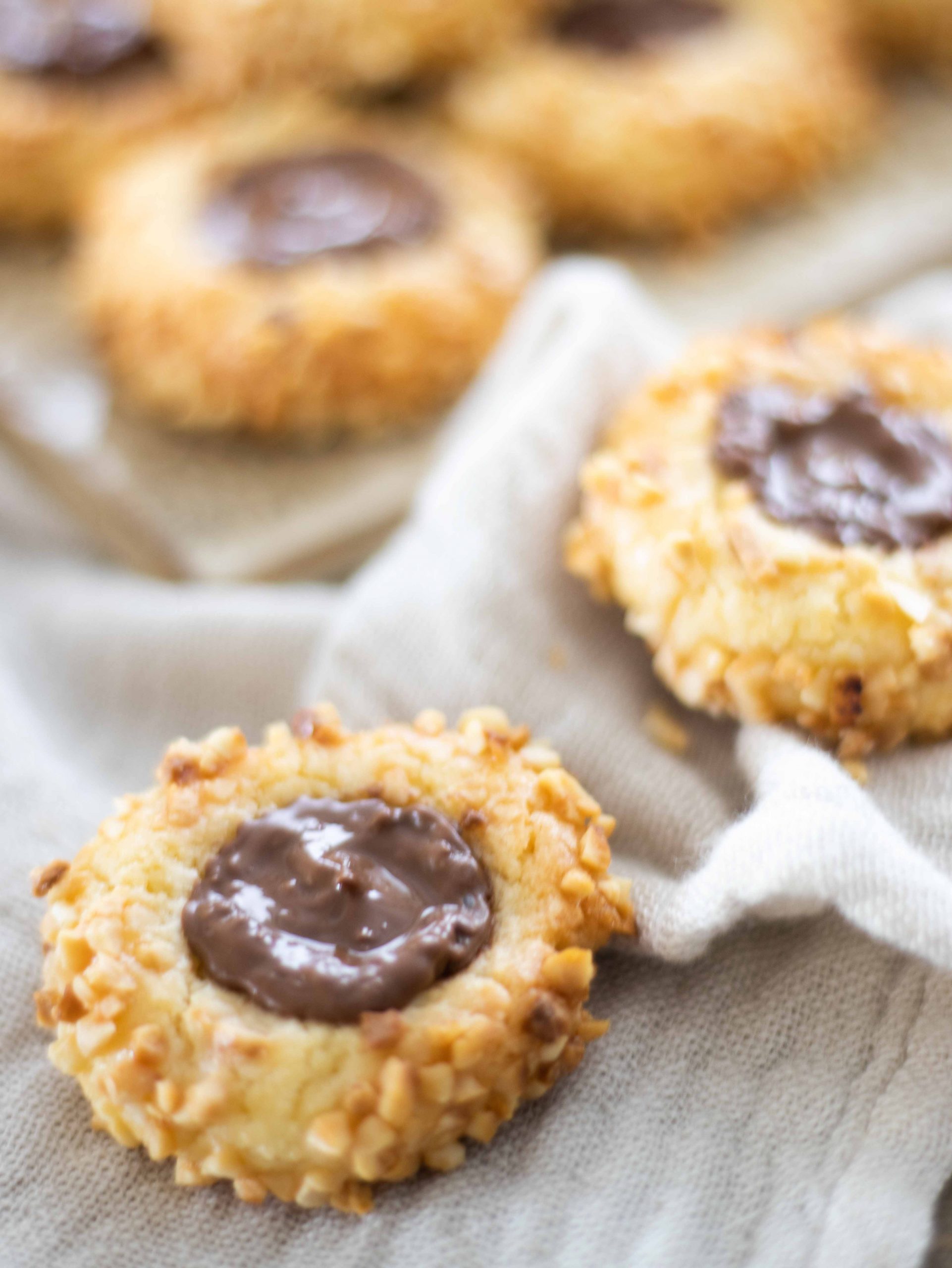 Haselnussplätzchen zum Weihnachtsfest Haselnussplätzchen zum Weihnachtsfest