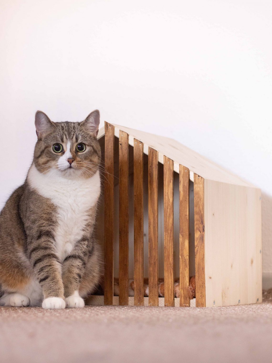 Anleitung für ein Katzenhaus aus Holz